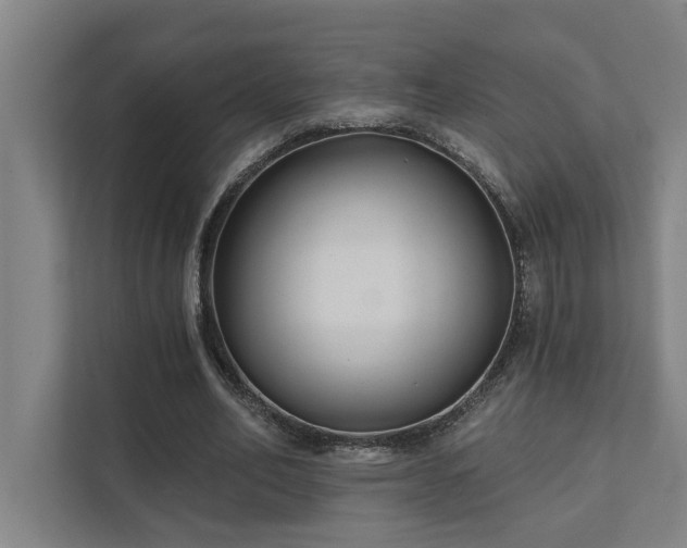 X0000111420582200907201049