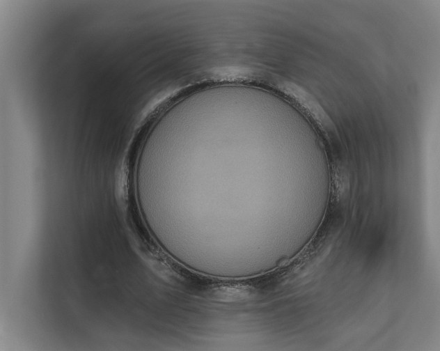 X0000111420583200907201049