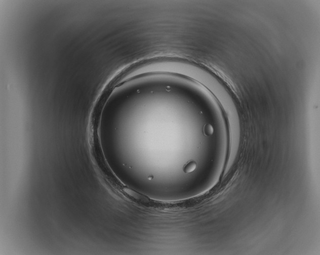 X0000111420584200907201049