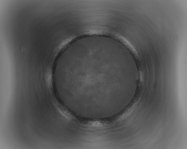 X0000111420588200907201049