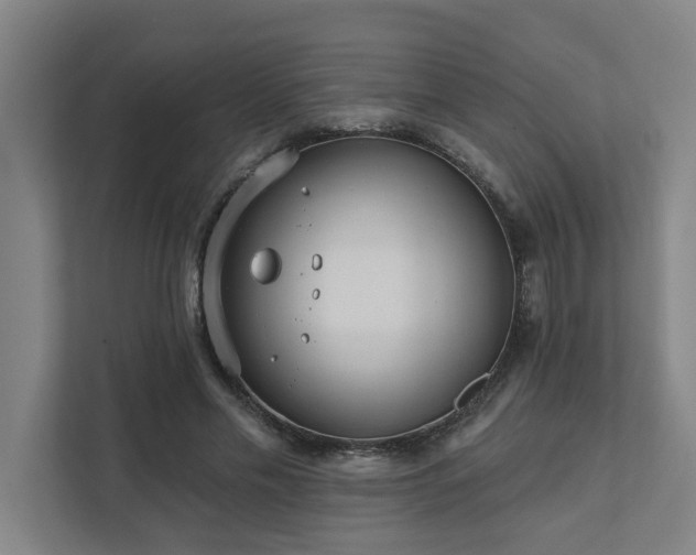 X0000111420589200907201049