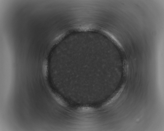 X0000111420590200907201049