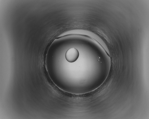 X0000111420593200907201049