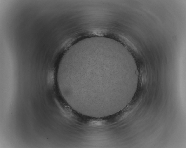 X0000111420595200907201049