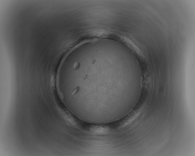 X0000111420597200907201049