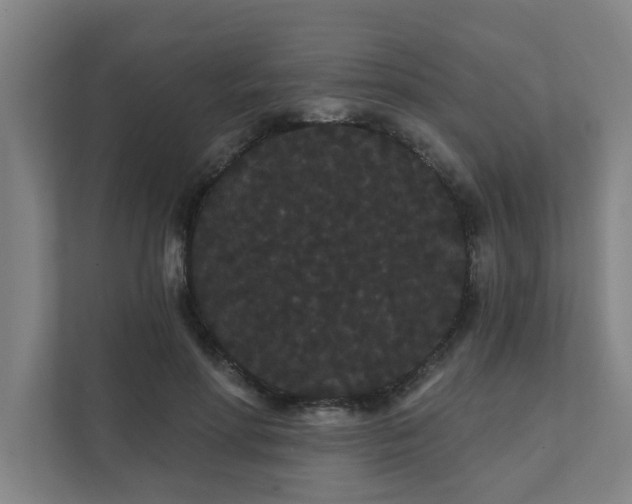 X0000111420598200907201049