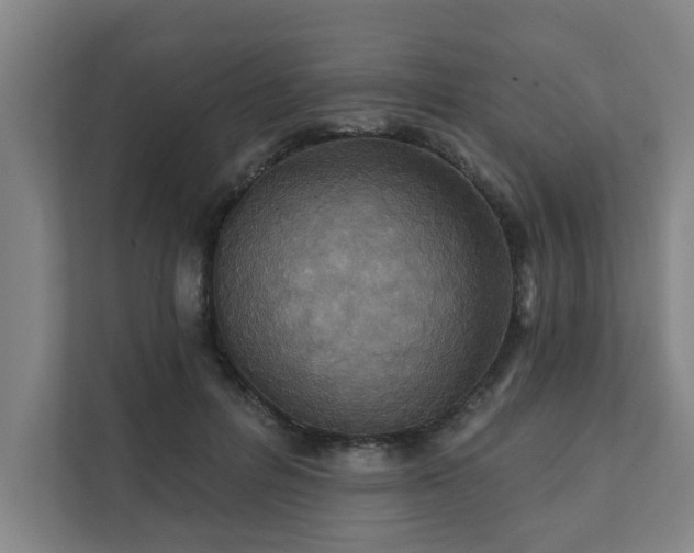 X0000111420600200907201049