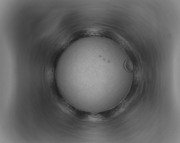 X0000111420603200907201049