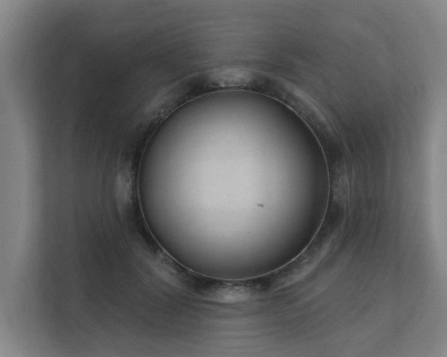 X0000111420604200907201049