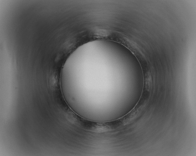 X0000111420608200907201049