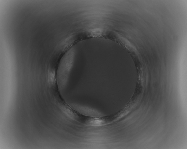 X0000111420610200907201049