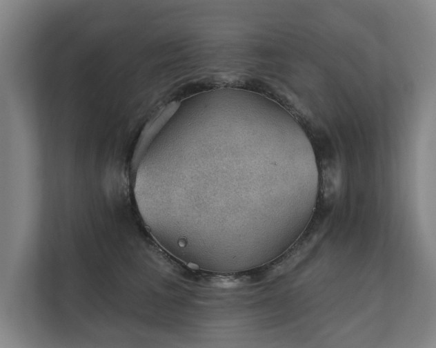 X0000111420613200907201049