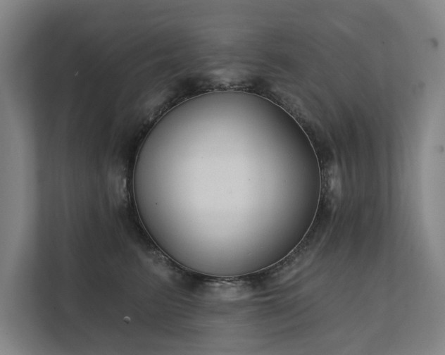 X0000111420615200907201049