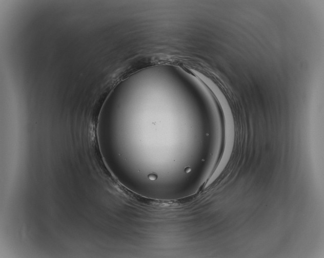 X0000111420621200907201049