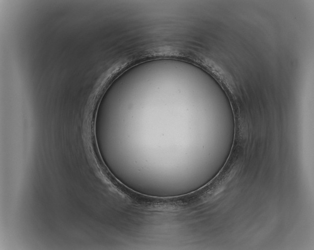 X0000111420625200907201048