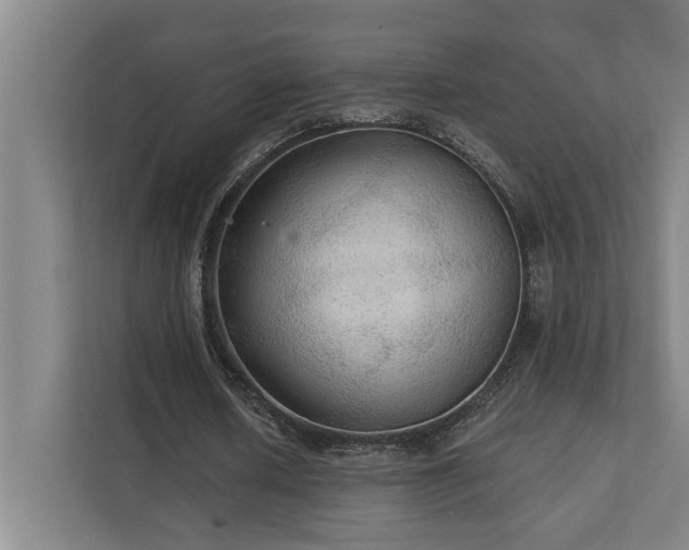 X0000111420626200907201048