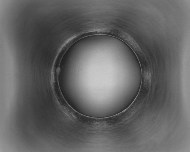 X0000111420628200907201048