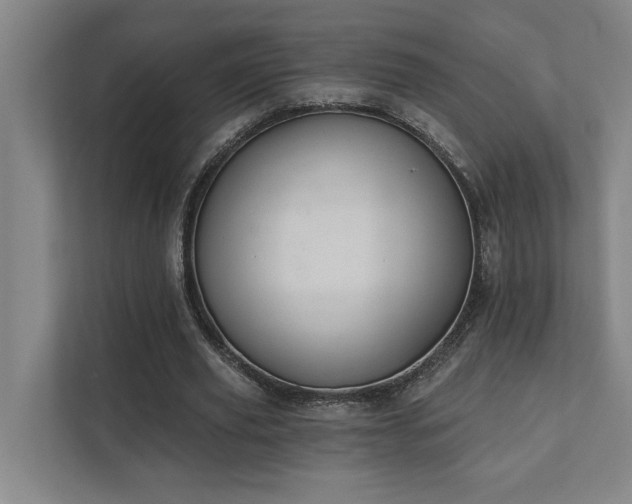 X0000111420629200907201048