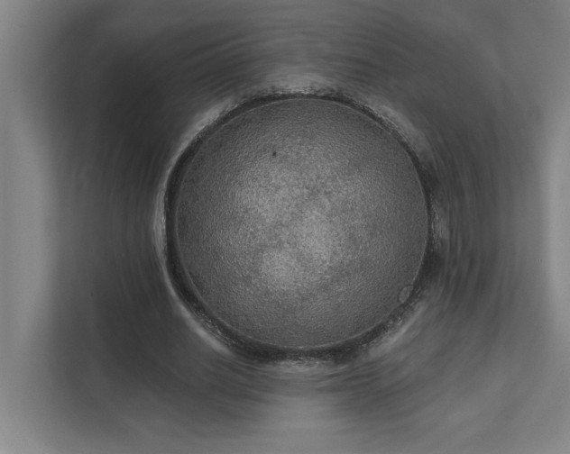 X0000111420630200907201048