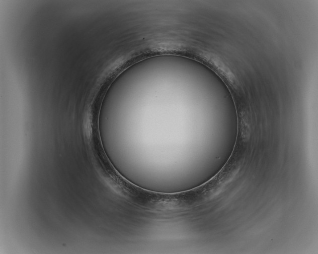 X0000111420631200907201048