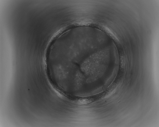 X0000111420634200907201048