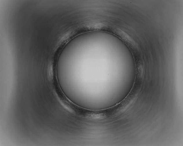 X0000111420638200907201048