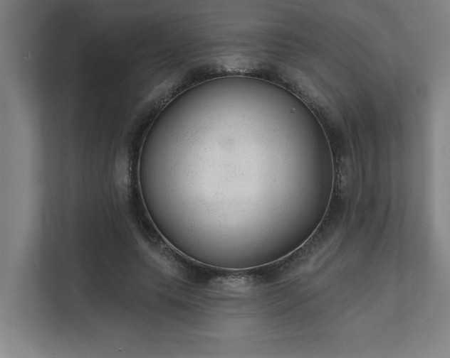 X0000111420639200907201049