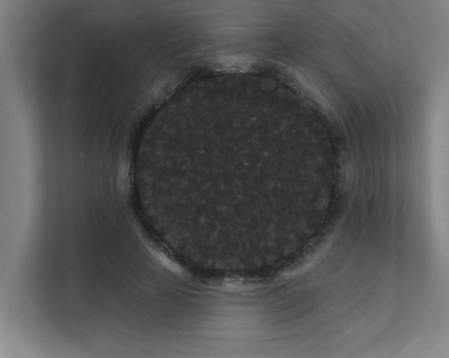 X0000111420641200907201049