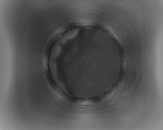 X0000111420643200907201049