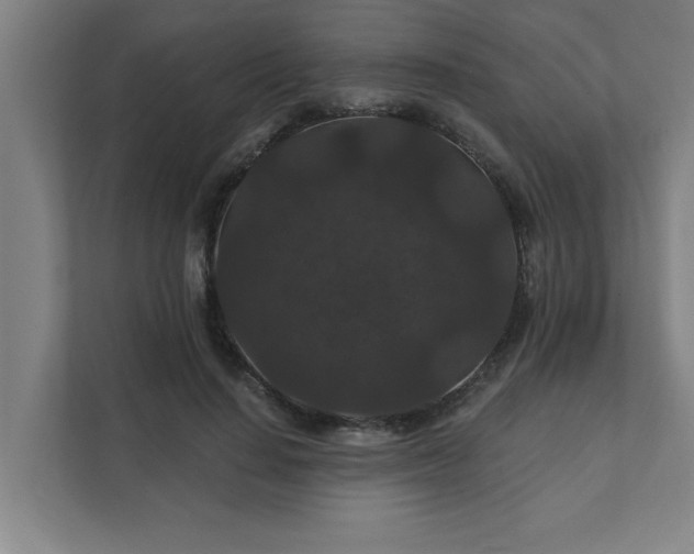 X0000111420644200907201049