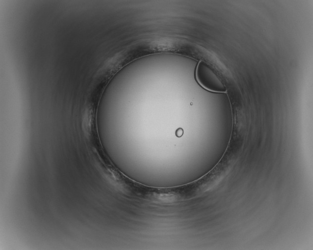 X0000111420645200907201049