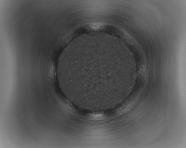 X0000111420651200907201049