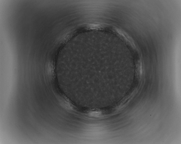 X0000111420653200907201049