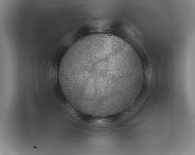 X0000111420657200907201049