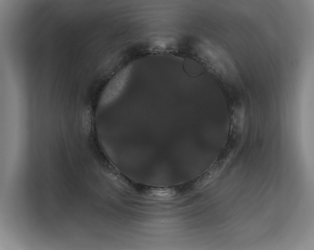 X0000111420659200907201049