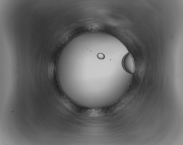 X0000111420660200907201049