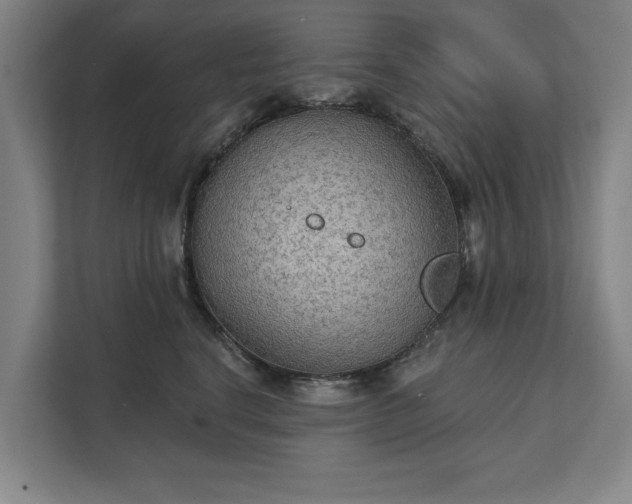 X0000111420664200907201049