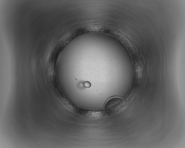 X0000111420665200907201049