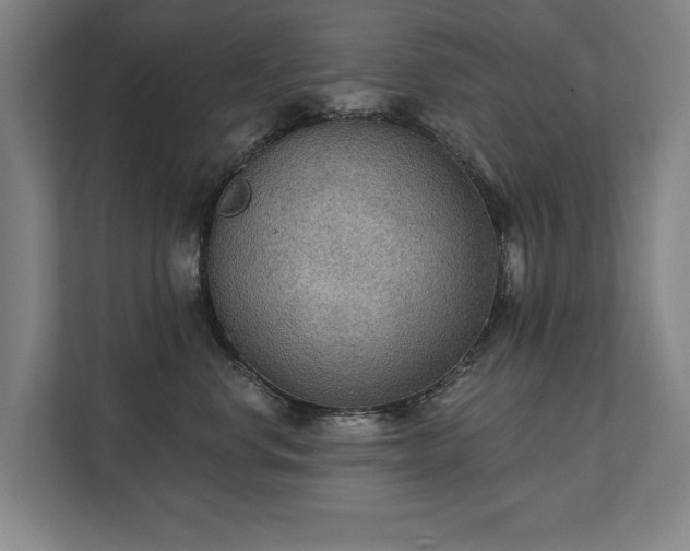 X0000111420668200907201049