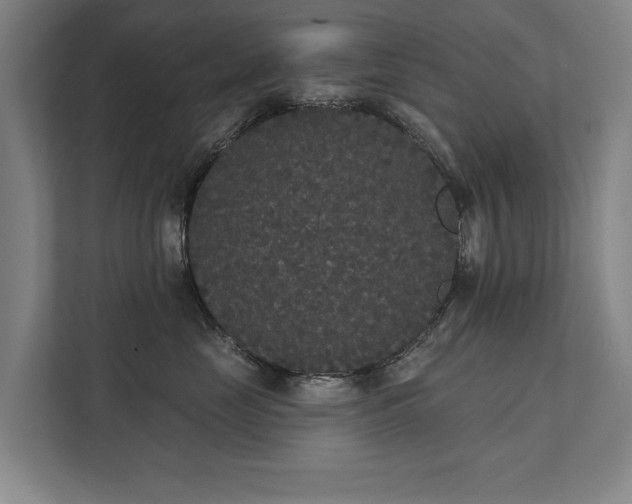 X0000111420669200907201049