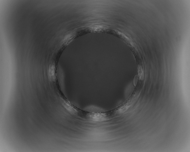 X0000111420670200907201049