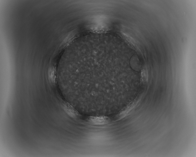 X0000111420671200907201049