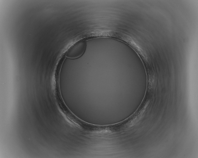 X0000111420674200907201048