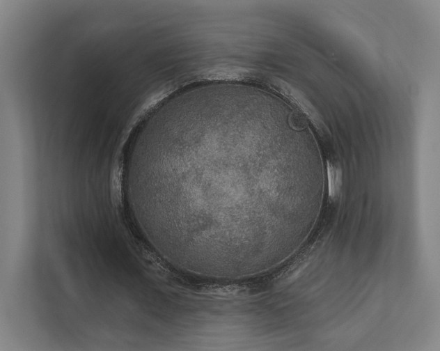 X0000111420675200907201048