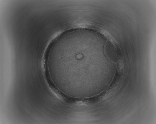 X0000111420680200907201048