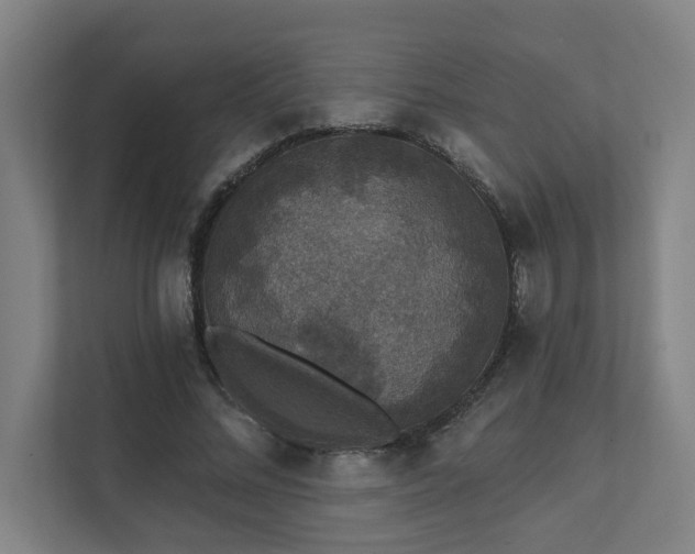 X0000111420684200907201048