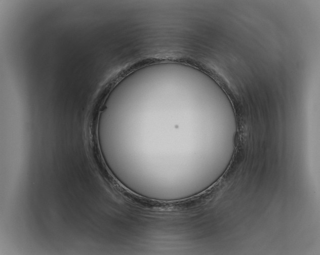 X0000111420688200907201048