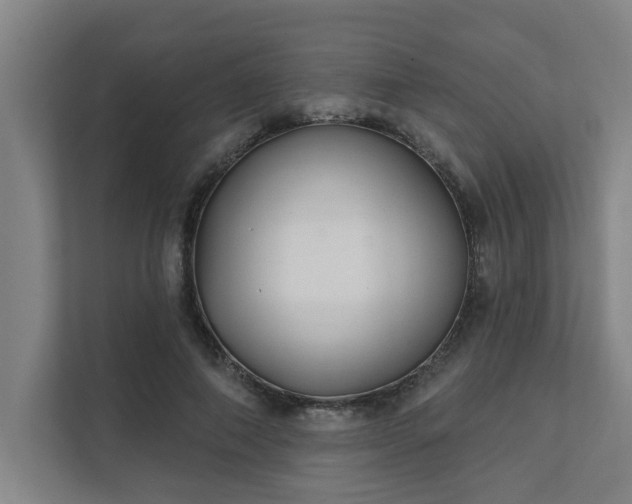 X0000111420690200907201048