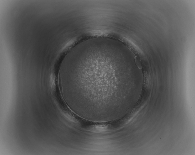 X0000111420692200907201048