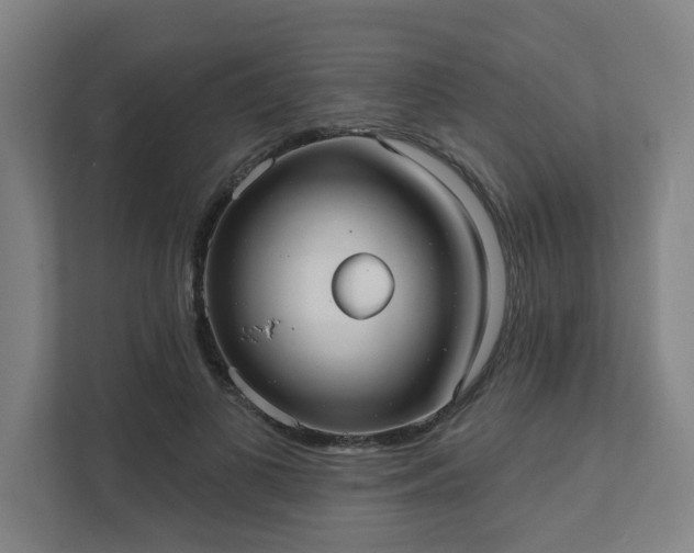 X0000111420693200907201048